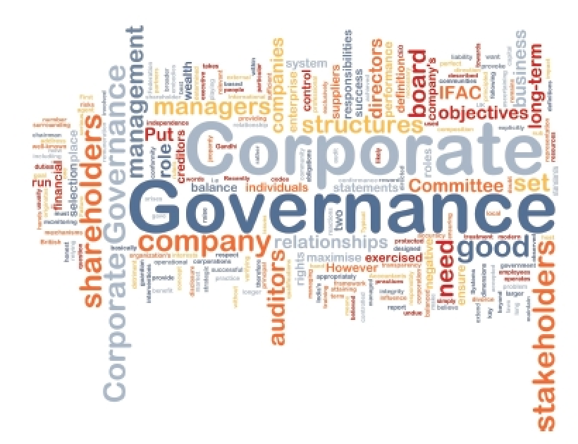 quality of governance codebook